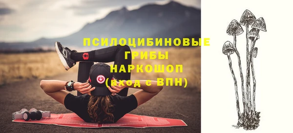 хмурый Абаза
