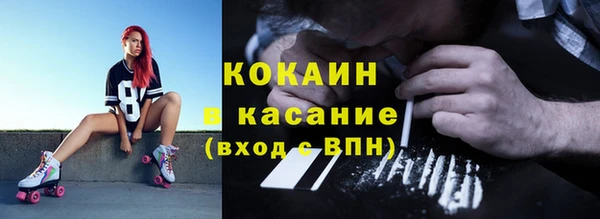 трава Новодвинск