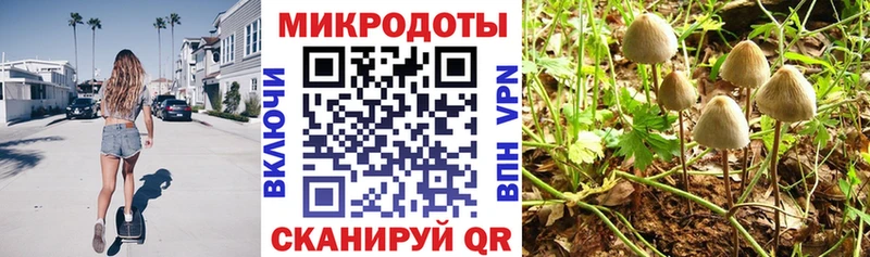MEGA ССЫЛКА Владимир Галлюциногенные грибы MAGIC MUSHROOMS